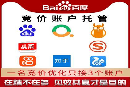 SEM竞价代运营：案例见证品牌知名度提升